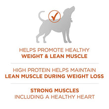 Load image into Gallery viewer, Purina ONE Natural, Weight Control Dry Dog Food, +Plus Healthy Weight Formula - 31.1 lb. Bag