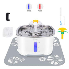 Load image into Gallery viewer, Cubic Cat Water Fountain Stainless Steel, Pet Water Fountain with Intelligent Pump and LED Light, 2.5L Cat Fountain with Water Level Window, 3 Carbon Filters, 1 Foam Filter 1 Mat and Cleaning Brushes