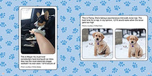 Load image into Gallery viewer, #WeRateDogs: The Most Hilarious and Adorable Pups You've Ever Seen