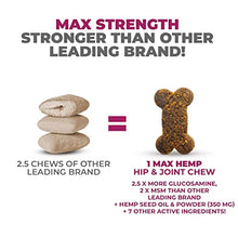 Load image into Gallery viewer, Mighty Petz Dog Ear Cleaner Solution MAX Hemp Glucosamine for Dogs Pouch