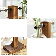 Load image into Gallery viewer, Glass Planter Bulb Vase, Desktop Plant Terrarium Kit with Retro Solid Wooden Stand for Hydroponics Plants Home Garden Office Wedding Decor (Style B)