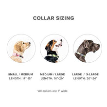 Load image into Gallery viewer, Whistle GO/GO Explore/Twist & Go Pet Collars/See Me Green/Large-XL