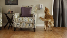 Load image into Gallery viewer, Petzi Treat Cam: Wi-Fi Pet Camera & Treat Dispenser, Enabled with Amazon Dash Replenishment