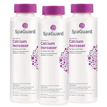 Load image into Gallery viewer, SpaGuard Spa Calcium Hardness Increaser (12 oz) (3 Pack)