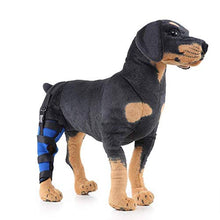 Load image into Gallery viewer, Dog Legs Post-Rehabilitation Leg Protection, Dog Legs Knee Joint Brace Cover Joint Protection, Fixation Recovery Dog Leg Wrap for Brace(Right) (Size : L) 827 (Size : L)