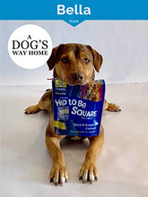 Load image into Gallery viewer, Lucy Pet Hip To Be Square Salmon And Pumpkin Dog Treats 6Oz