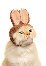 Load image into Gallery viewer, Kitan Club Cat Cap - Pet Hat Blind Box Includes 1 of 5 Cute Styles - Soft, Comfortable - Authentic Japanese Kawaii Design - Animal-Safe Materials, Premium Quality (Rabbit)
