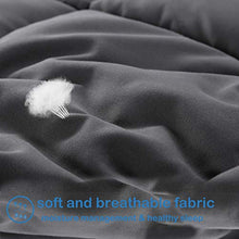 Load image into Gallery viewer, EASELAND All Season Oversized Queen Soft Quilted Down Alternative Comforter Hotel Collection Reversible Duvet Insert with Corner Tabs,Winter Warm Fluffy Hypoallergenic,Dark Grey,98 by 98 Inches