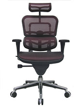 Load image into Gallery viewer, Eurotech Seating Ergohuman High Back Mesh Managers Chair, Plum Red