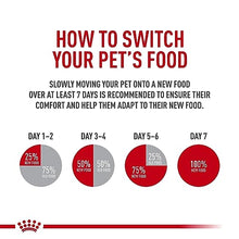 Load image into Gallery viewer, Royal Canin Indoor Adult Dry Cat Food, 15 lb bag