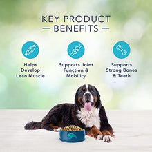 Load image into Gallery viewer, Blue Buffalo Large Breed Freedom Grain Free Chicken Recipe Dry Dog Food, 24-Pound