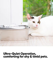Load image into Gallery viewer, OlarHike Cat Water Fountain Stainless Steel, 67oz/2L Dog Water Bowl Dispenser Automatic Pet Water Fountain with Quiet Pump, Dishwasher Safe Design & Adjustable Water Flow for Cats, Dogs