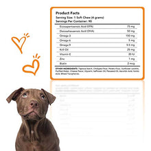 Load image into Gallery viewer, Ready Pet Go! Omega 3 for Dogs | Fish Oil for Dog Shedding, Skin Allergy, Itch Relief, Mange and Hot Spots Treatment | EPA & DHA | Natural Joint Supplement for Dogs, Heart and Brain Health | 90 Chews