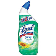 Load image into Gallery viewer, Lysol Power & Fresh Toilet Bowl Cleaner, 24 Fl.Oz (Packaging May Vary)