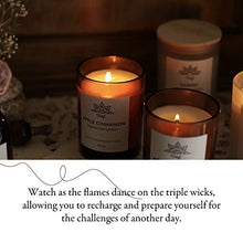Load image into Gallery viewer, Scented Soy Aromatherapy Candle for Home Scented, 45 Hour Burn Time, Made with Soy Wax, Apple Cinnamon, 8.4 oz, 2 Count