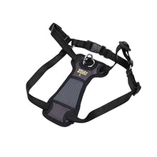 Load image into Gallery viewer, Coastal Pet Products Coastal Pet Walk Right! Front-Connect Padded Harness, Large, Black