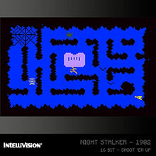 Load image into Gallery viewer, Blaze Evercade Intellivision Cartridge 1 - Nintendo DS