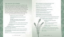 Load image into Gallery viewer, The Witch's Way: A Guide to Modern-Day Spellcraft, Nature Magick, and Divination (Volume 5) (The Modern-Day Witch)
