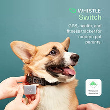 Load image into Gallery viewer, Whistle GPS + Health + Fitness - Smart Dog Collar, Waterproof Dog GPS Tracker Plus Health & Fitness Monitor, 24/7 Pet Tracker, 2 Rechargeable Batteries, Switch (Newest Model), (Black), S/M