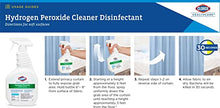 Load image into Gallery viewer, Clorox Healthcare Hydrogen Peroxide Cleaner Disinfectant Spray, 32 Ounces (30828)