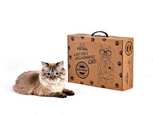 Load image into Gallery viewer, Cat Box Eco Cat Toilet for Four Weeks. Ready to use Shatter-Resistant Anti-Breaking Self-Cleaning Kitty Litter Cardboard Box Tray Refills Non-Clumping Wood Mineral Cat Litter Smell up to 25-30 Days