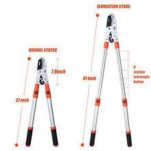 Load image into Gallery viewer, THANOS A1101 Extendable Anvil Loppers Tree Trimmer with Compound Action,Chops Thick Branch Ease,28-40'' Telescopic Heavy Duty Branch Cutter,2 inch Clean Cut Capacity.