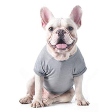 Load image into Gallery viewer, Star Wars Don't Underestimate The Power of My Bark Side Dog Tee | Star was Dog Shirt | Small