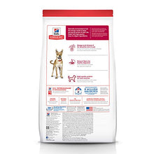 Load image into Gallery viewer, Hill's Science Diet Dry Dog Food, Adult, Chicken & Barley Recipe, 5 lb. Bag