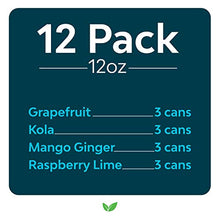 Load image into Gallery viewer, Zevia Zero Calorie Energy Drink, Variety Pack, 12 Ounce Cans (Pack of 12)