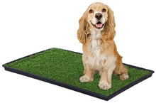 Load image into Gallery viewer, Prevue Pet Products Tinkle Turf for Medium Dog Breeds, 29-1/2-Inch by 19-1/2-Inch
