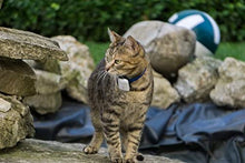 Load image into Gallery viewer, Cat Tracker RF Finder Longest Range up to 1600 ft lightest pet Safety Tracking Device only 0.28oz Small Pets Dog Girafus Pro-Track-tor Pet Tracker