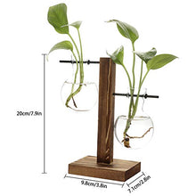 Load image into Gallery viewer, Glass Planter Bulb Vase, Desktop Plant Terrarium Kit with Retro Solid Wooden Stand for Hydroponics Plants Home Garden Office Wedding Decor (Style B)