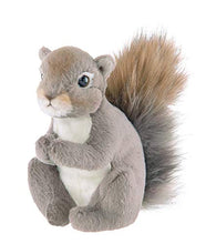 Load image into Gallery viewer, Bearington Lil' Peanut Plush Stuffed Animal Squirrel, 7 inch