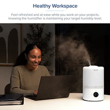 Load image into Gallery viewer, LEVOIT Humidifiers for Bedroom, Cool Mist Top Fill for Baby Nursery Kids and Plants with Essential Oils, Ultrasonic, Super Quiet, Easy Clean, BPA Free, 3L, White