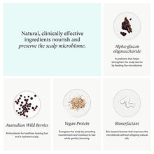 Load image into Gallery viewer, Nutrafol Clinically Effective Root Purifier Scalp Shampoo and Strand Defender Conditioner to Deeply Cleanse and Defend Hair From Damage