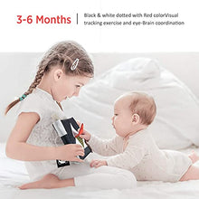 Load image into Gallery viewer, beiens Baby Books Toys, High Contrast Black and White Books Non Toxic Fabric Touch and Feel Crinkle Cloth Books Early Educational Stimulation Toys for Infants Toddlers, Baby Gift Soft Toys Mirror