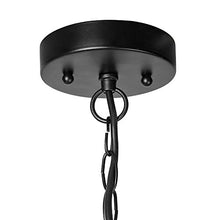 Load image into Gallery viewer, LALUZ Outdoor Hanging Lantern Porch Painted Black Metal with Clear Bubbled Glass Globe in Iron Cage Frame, 1-Light Light, 10.2" Exterior Pendant Lighting for Garage