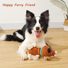 Load image into Gallery viewer, Napojoy Plush Dog Toy, Stuffed Dog Toys for Small Medium Large Dogs, Squeaky Dog Chew Toy with Crinkle Paper, Outdoor Puppy Toys Interactive Tough Rope Toys