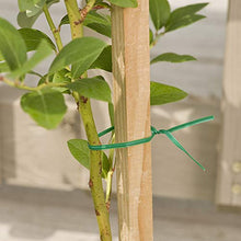 Load image into Gallery viewer, Gardener's Blue Ribbon T001B Sturdy Plastic Twist with Cutter, 100' L