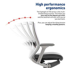 Load image into Gallery viewer, SIDIZ T50 Highly Adjustable Ergonomic Office Chair (TNB500LDA): Advanced Mechanism for Customization/Extreme Comfort, Ventilated Mesh Back, Lumbar Support, 3D Arms, Seat Slide/Slope (Gray)