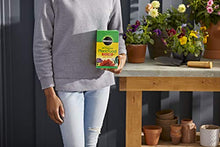Load image into Gallery viewer, Miracle-Gro Water Soluble All Purpose Plant Food, 3 lb