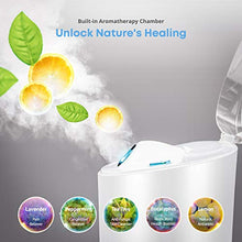 Load image into Gallery viewer, NanoSteamer PRO Professional 4-in-1 Nano Ionic Facial Steamer for Spas - 30 Min Steam Time - Humidifier - Unclogs Pores - Blackheads - Spa Quality - 5 Piece Stainless Steel Skin Kit Included