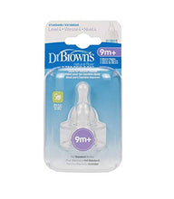 Load image into Gallery viewer, Dr. Brown's Natural Flow Level 4(9 month+) - 2ct - Pack of 4