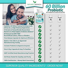 Load image into Gallery viewer, 60 Billion Probiotics for Women, Probiotics for Men - Guaranteed 10 Strains - Prebiotics & Digestive Enzymes, One A Day Supplement with Lactobacillus Acidophilus, Renew Mood Health - 30 Vegan Capsules