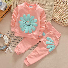 Load image into Gallery viewer, Toddler Baby Girls Sunflower Clothes Set Long Sleeve Top and Pants 2pcs Outfits Fall Clothes (Age(2T), Pink)