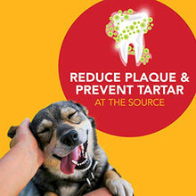 Load image into Gallery viewer, Petrodex Advanced Dental Care Enzymatic Dog Toothpaste, 6.2oz.