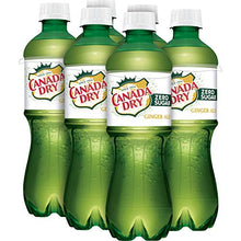 Load image into Gallery viewer, Diet Canada Dry Ginger Ale Soda, .5 Liter Bottle, 6 Count