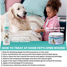 Load image into Gallery viewer, Forticept Blue Butter Antimicrobial Gel, Antiseptic Hydrogel Dogs Wound Care, Dogs & Cats for Skin Infections, Rashes, Sores, Wounds, Burns | 4 OZ