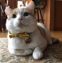 Load image into Gallery viewer, Shelter Pets Series Two: Jeffrey - 10" Orange and White Cat Plush Toy Stuffed Animal - Based on Real-Life Adopted Pets - Benefiting The Animal Shelters They were Adopted from - Kitten Kitty