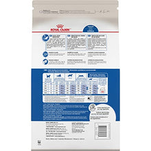 Load image into Gallery viewer, Royal Canin Indoor Adult Dry Cat Food, 15 lb bag